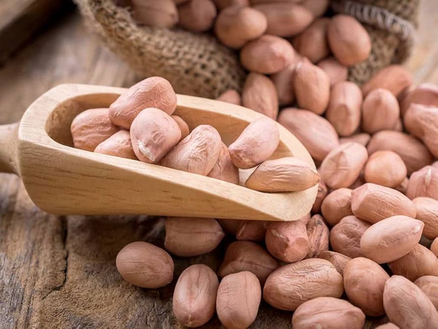 Groundnut Seeds