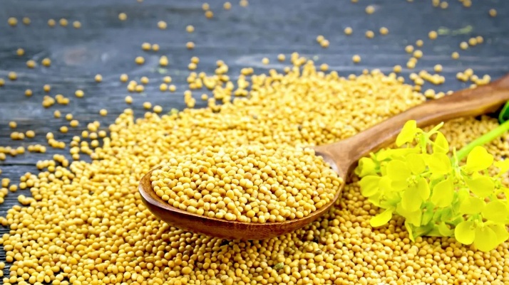 Yellow Mustard Seeds